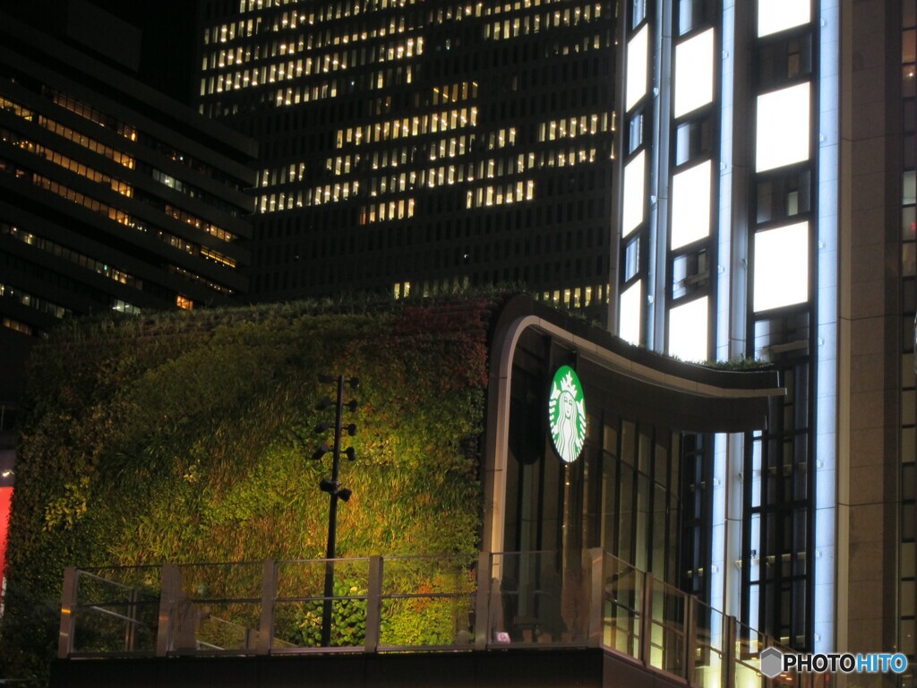 green wall starbucks
