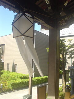 風になびく