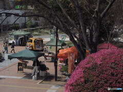 尼崎中央公園のマルシェ