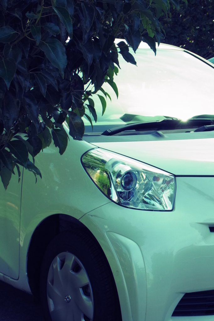 iQとかくれんぼ