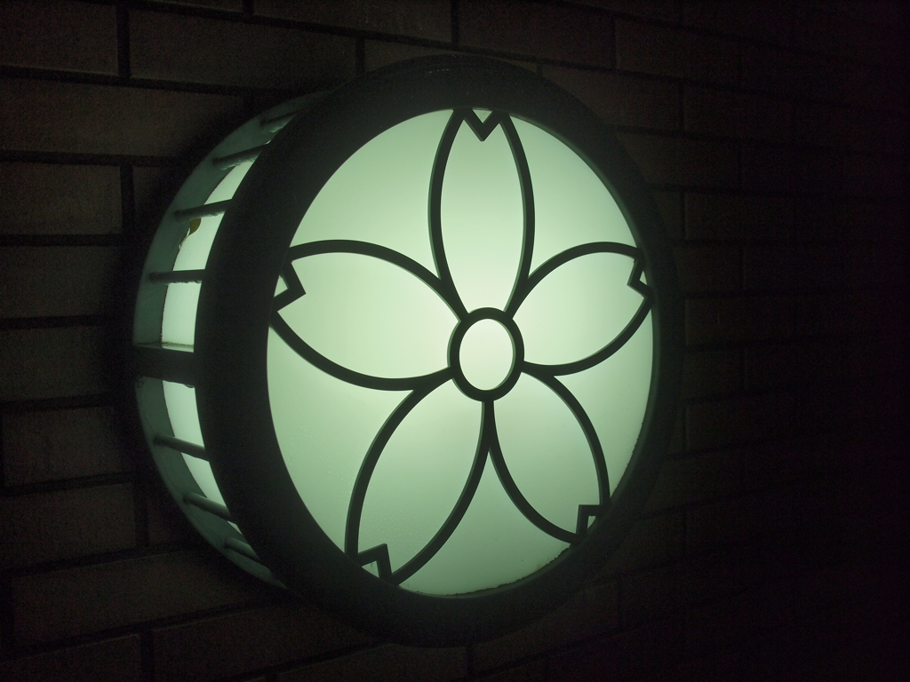 SAKURA LIGHT