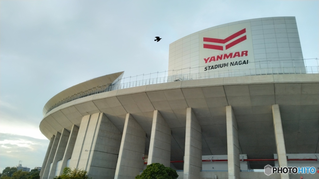 bird and stadium