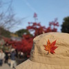 紅葉の帽子