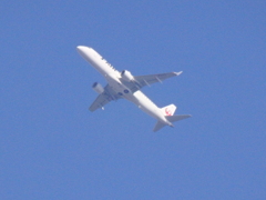JAL FLIGHT