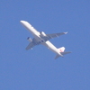 JAL FLIGHT