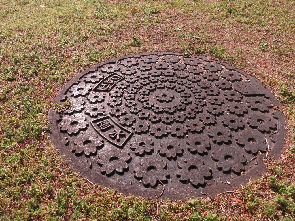 SAKURA MANHOLE