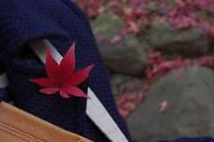 紅葉のバッジ