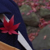 紅葉のバッジ