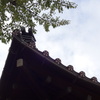 櫻井神社の桜印