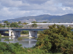 新幹線　武庫川を渡る
