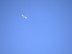 Flight In The Blue Sky