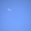 Flight In The Blue Sky