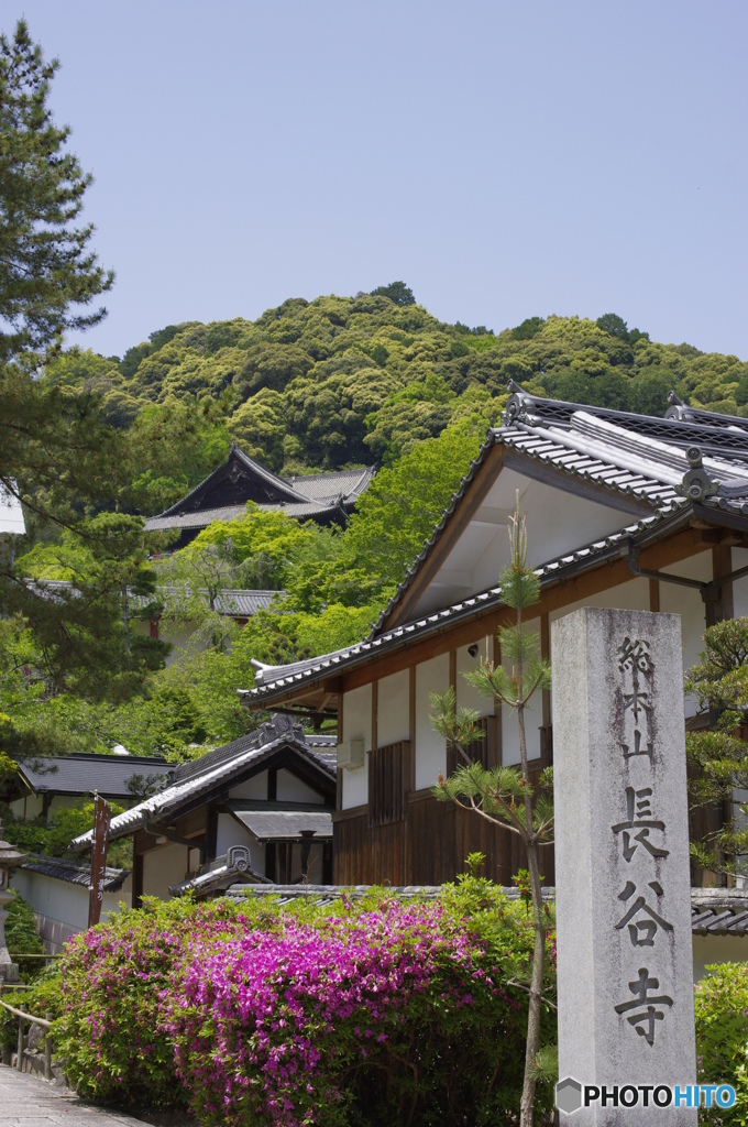 五月晴れの長谷寺
