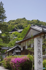 五月晴れの長谷寺
