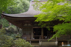 室生寺　本堂