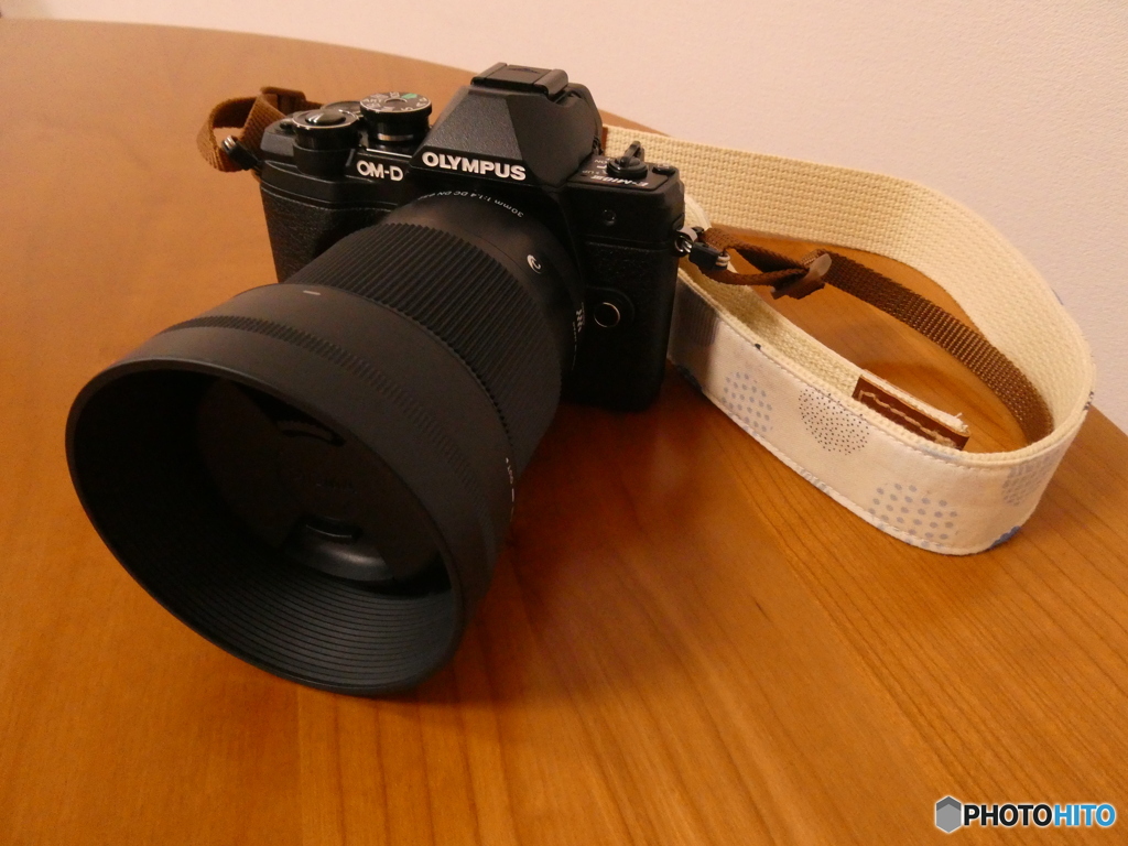 OM-D E-M10 mk3 with madder room ストラップ