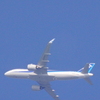 Airplane