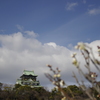 大阪城と白梅