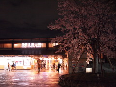 夜桜と阪急嵐山駅