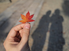 ふたりの紅葉