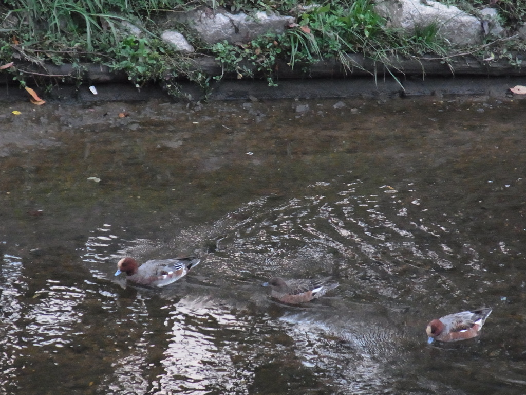 それぞれの道を進む