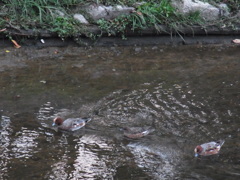 それぞれの道を進む