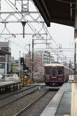 阪急と桜
