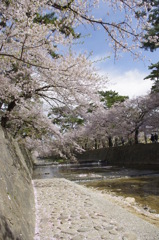 さくら夙川と石垣