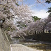 さくら夙川と石垣