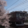 桜と電車