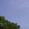 飛行機雲と青空と新緑