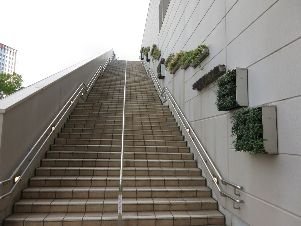 Wall Plants