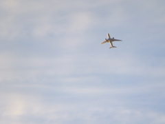 夕空を飛ぶ