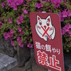 猫の餌やり禁止