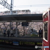 桜×阪急