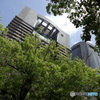緑と帝国ホテル大阪