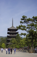 興福寺の五重塔