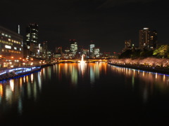 夜桜と光のシャワー