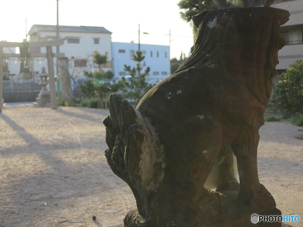 狛犬さん　朝日を浴びし　春の朝