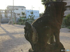 狛犬さん　朝日を浴びし　春の朝