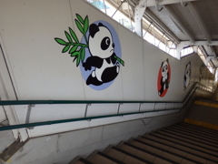 パンダの階段