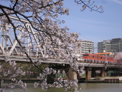 環状線と桜