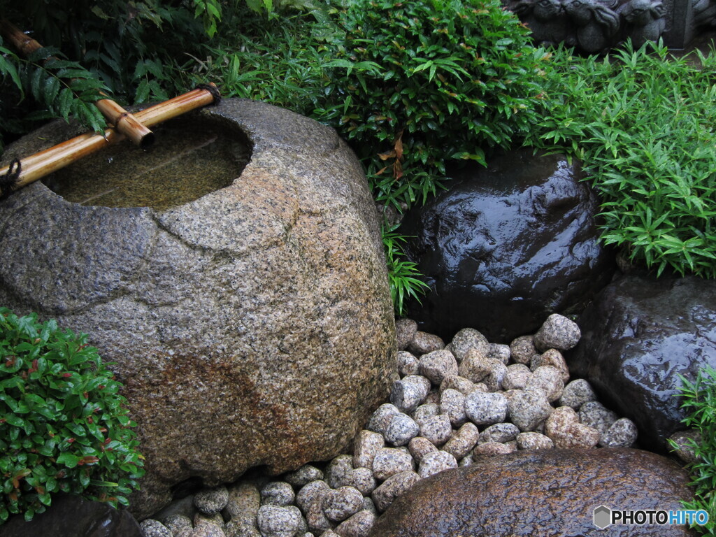 雨の日の庭