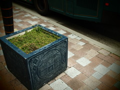 トアロードの花壇