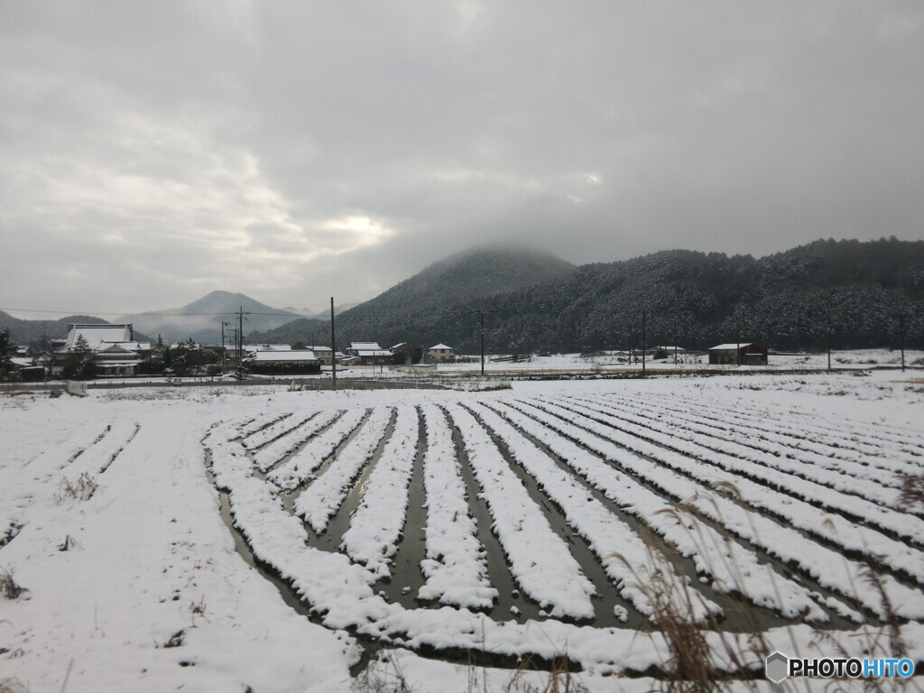 車窓から見る雪景色