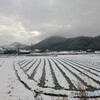 車窓から見る雪景色