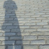 Photographer's Shadow
