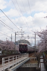 桜映す阪急電車
