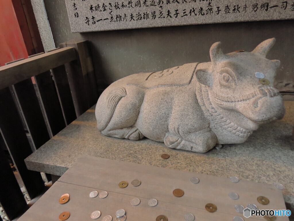 神牛