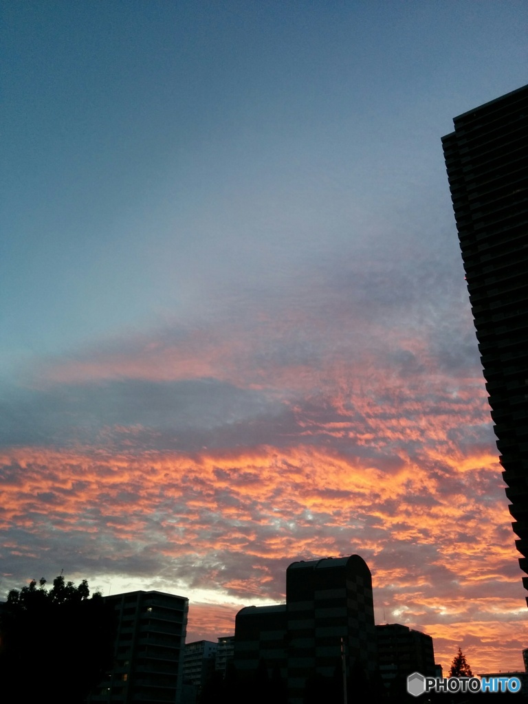 うろこ雲